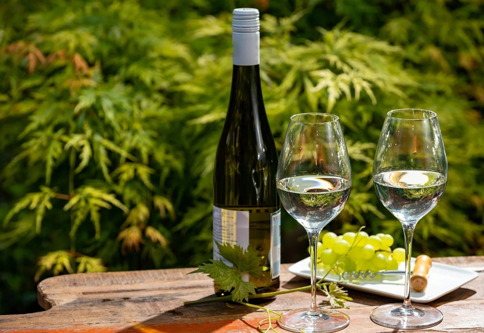 Riesling Wine Description and Food Pairings