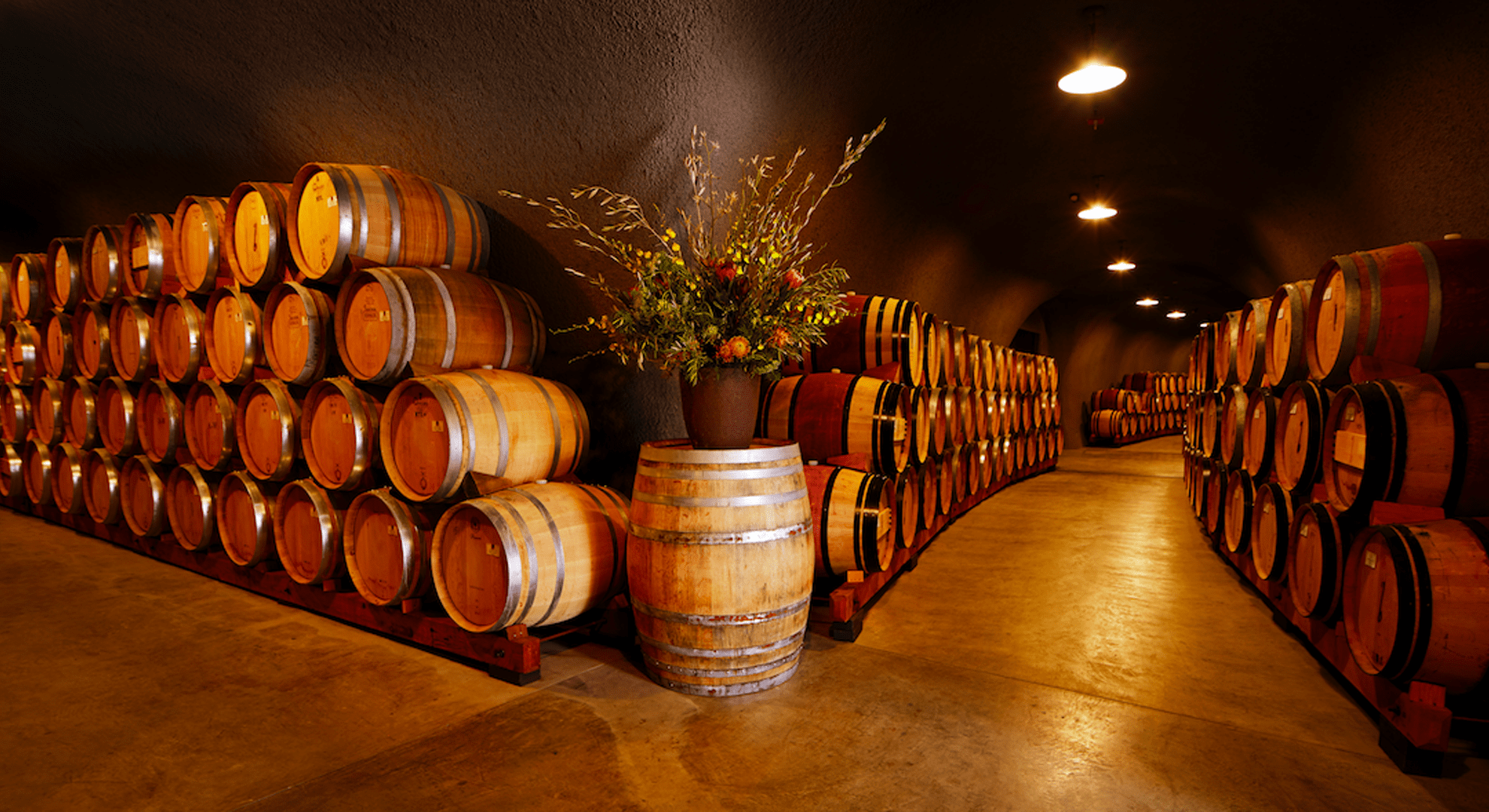 A Cellar Chat with Curtis Strohl of B Cellars on Single-Vineyard Produ ...